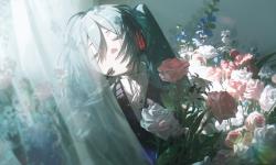 Featured image of post 如何部署并运行kun-touchgal-next项目